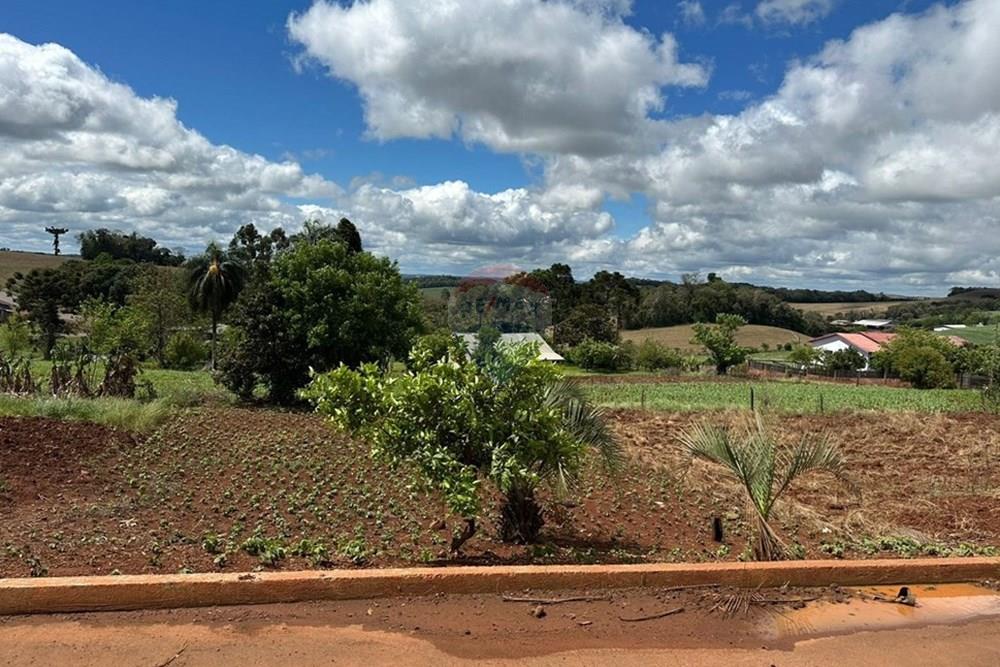 Terreno - Venda - Três Palmeiras , Rio Grande do Sul - WhatsApp Image 2025-11-17 at 11.08.44 (2).jpeg - 610231038-3