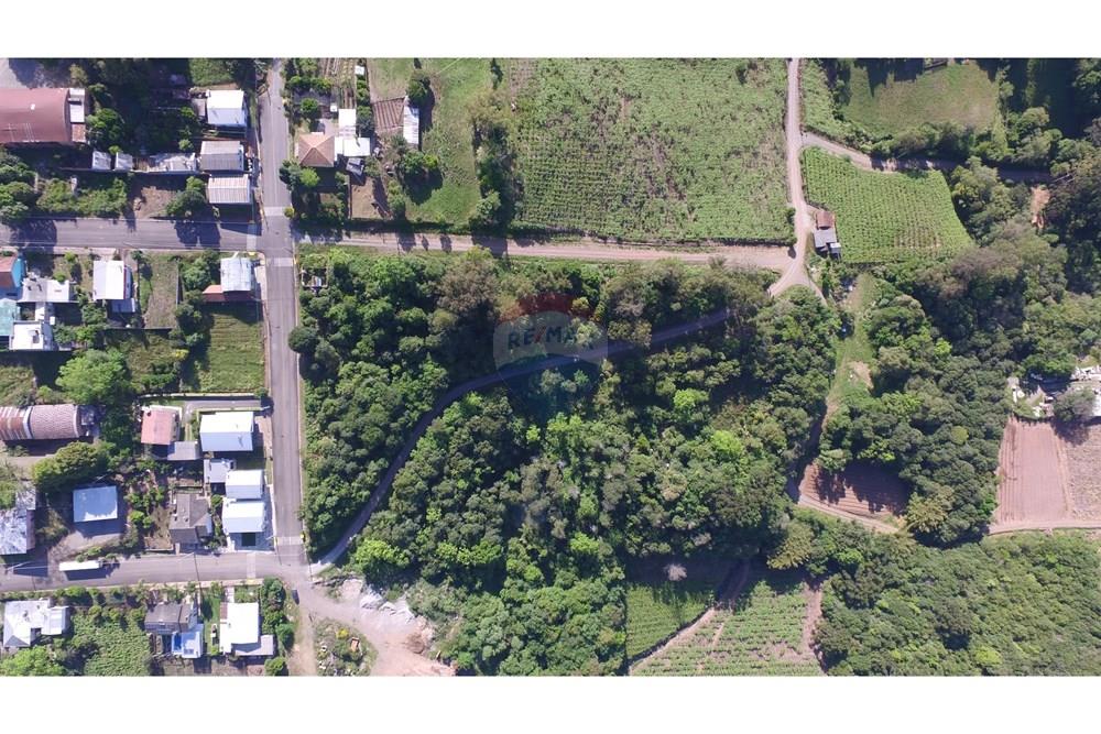 Terreno - Venda - Nova Pádua , Rio Grande do Sul - DJI_00611.jpg - 612551039-219