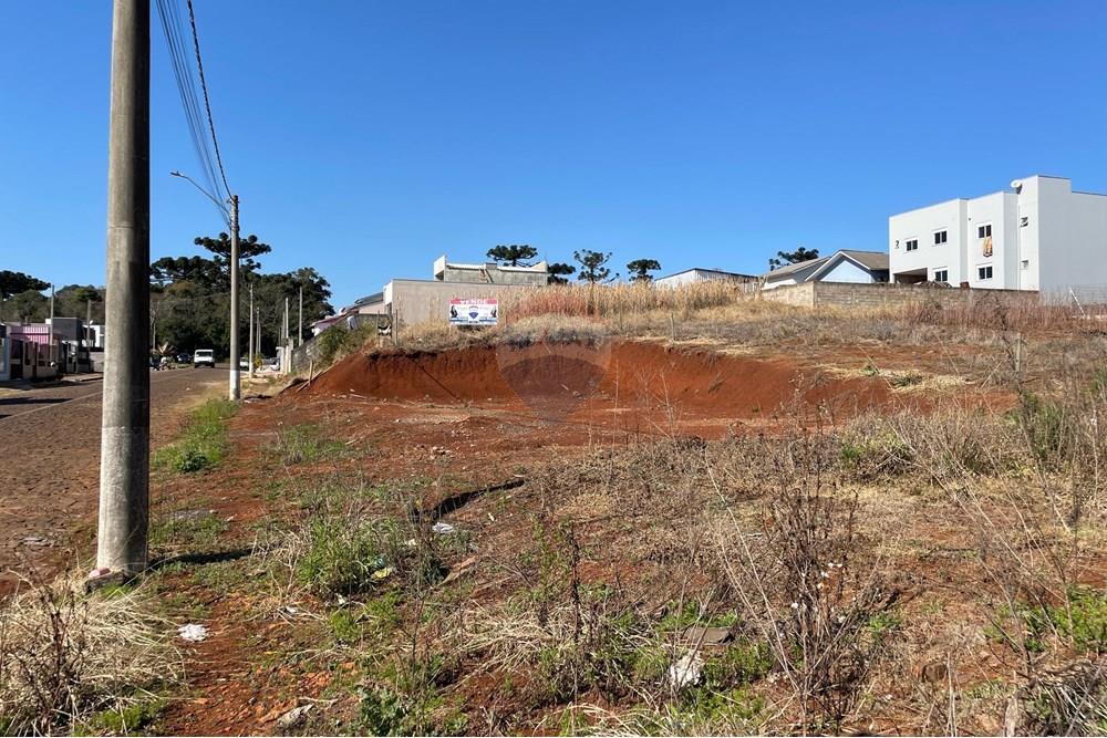 Terreno - Venda - Erechim , Rio Grande do Sul - WhatsApp Image 2025-07-14 at 16.40.51 (2).jpeg - 612761012-8