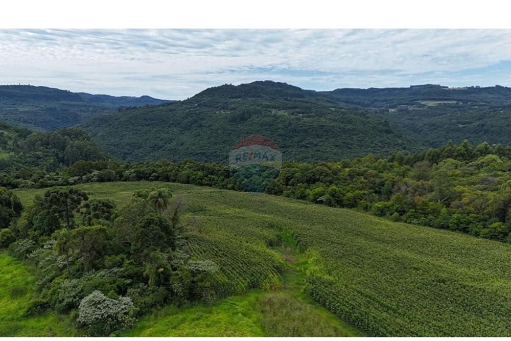 Chácara / Sítio / Fazenda - Venda - Gramado , Rio Grande do Sul - WhatsApp Image 2026-02-24 at 16.26.07 (12).jpeg - 610131034-44