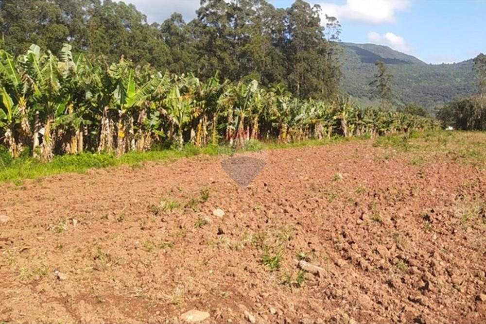 Terreno - Venda - Terra de Areia , Rio Grande do Sul - 7da13f6e-6e69-49fa-bec7-77f3b2b7bcbe.jpg - 612671028-46