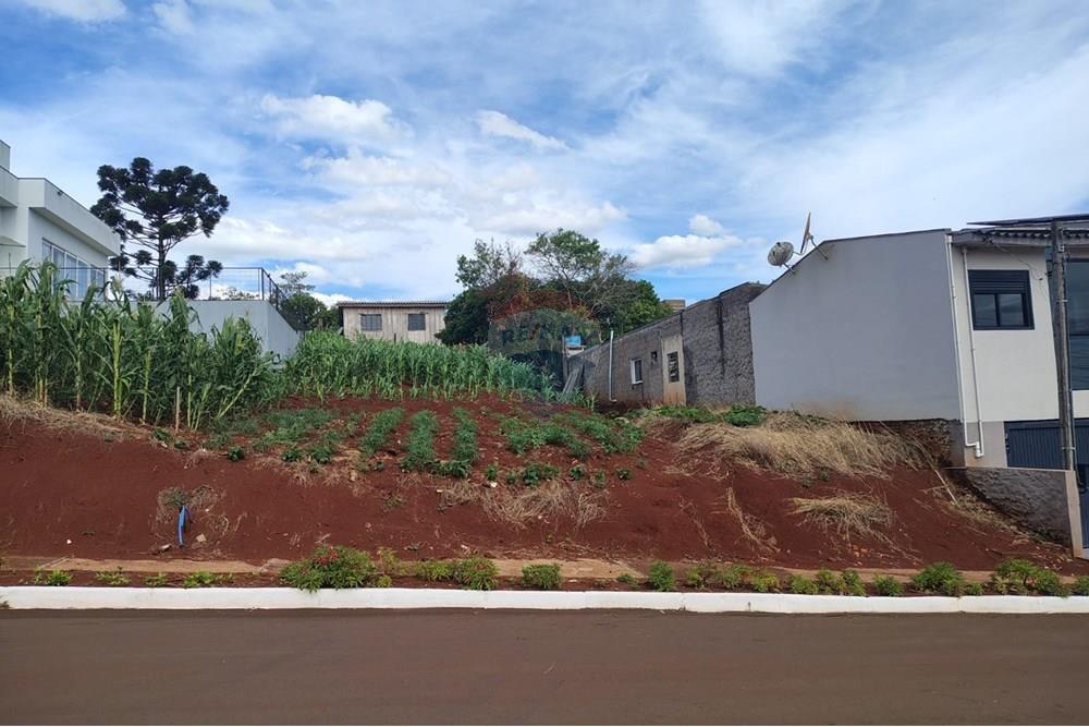 Terreno - Venda - Ronda Alta , Rio Grande do Sul - WhatsApp Image 2025-12-18 at 09.39.33.jpeg - 610231034-15