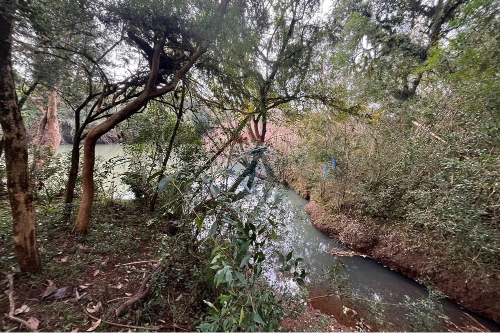 Fazenda - Venda - Lagoa Vermelha , Rio Grande do Sul - IMG_2550.JPG - 610111017-1