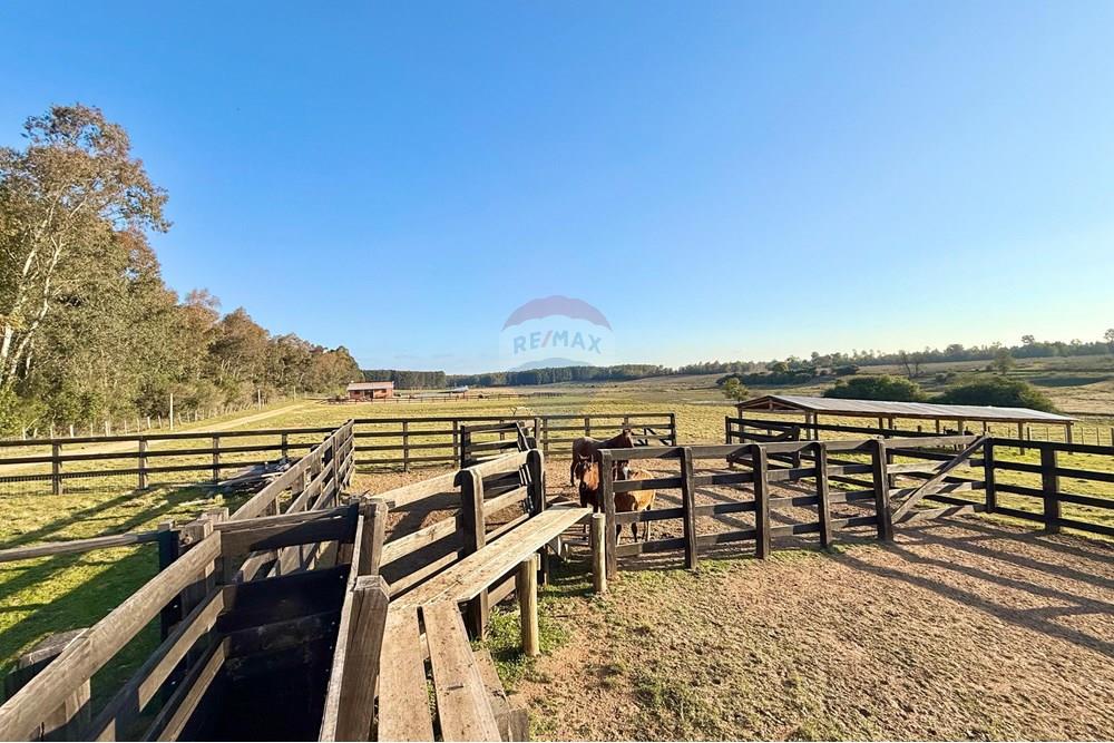 Chácara / Sítio / Fazenda - Venda - São Gabriel , Rio Grande do Sul - 9e3994a7-725d-411b-92a8-7fa5a6f4b22b.jpeg - 612631037-9
