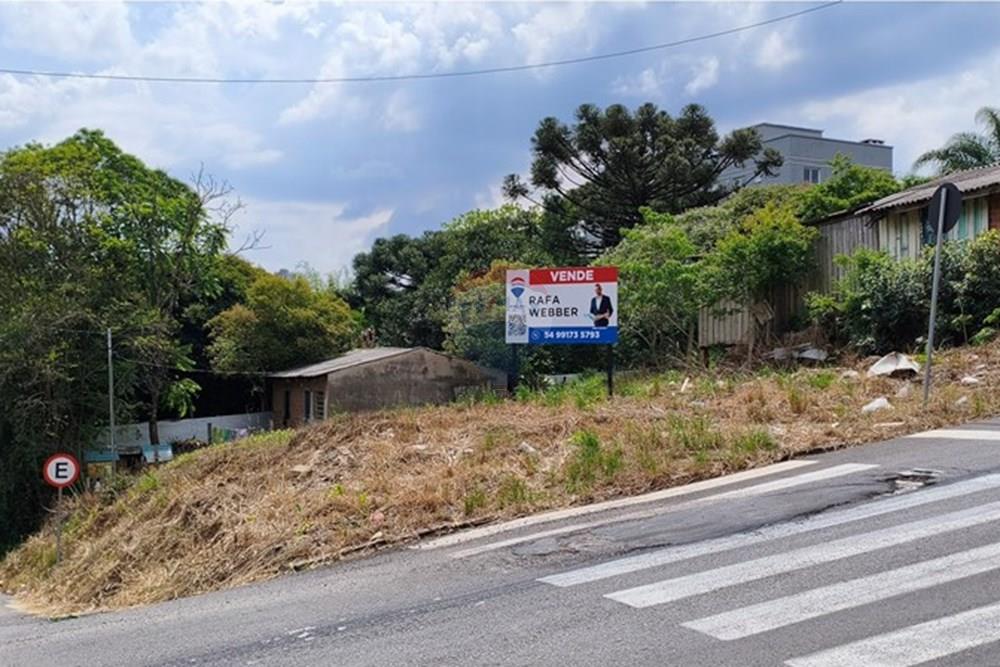 Terreno - Venda - Passo Fundo , Rio Grande do Sul - MVIMG_20251011_135223.jpg - 610271096-5