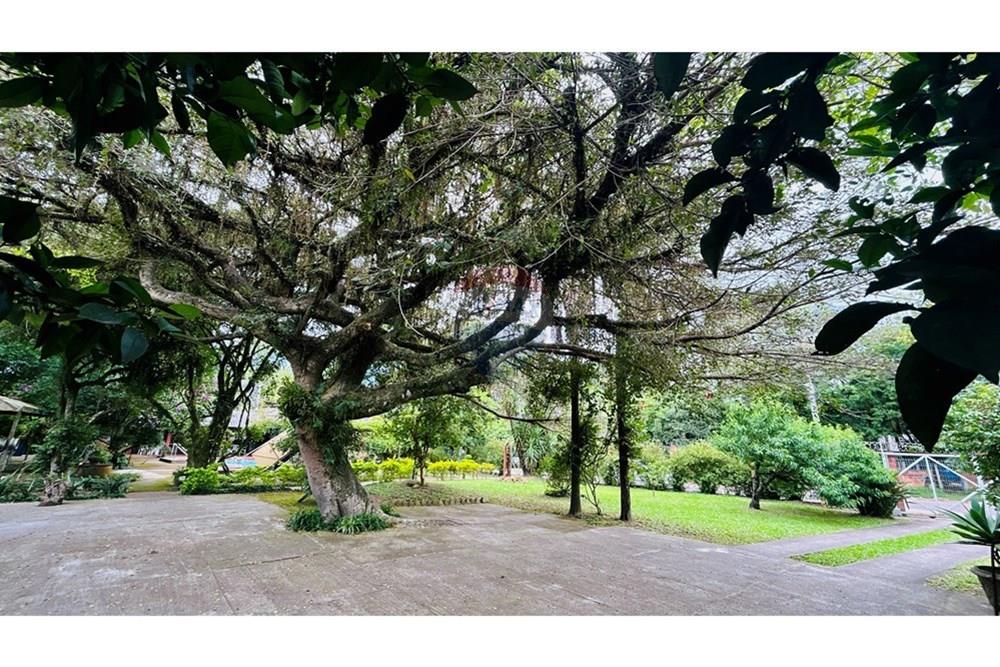Casa - Venda - Guaíba , Rio Grande do Sul - DJI_20251105_152232_590.jpg - 612781017-39