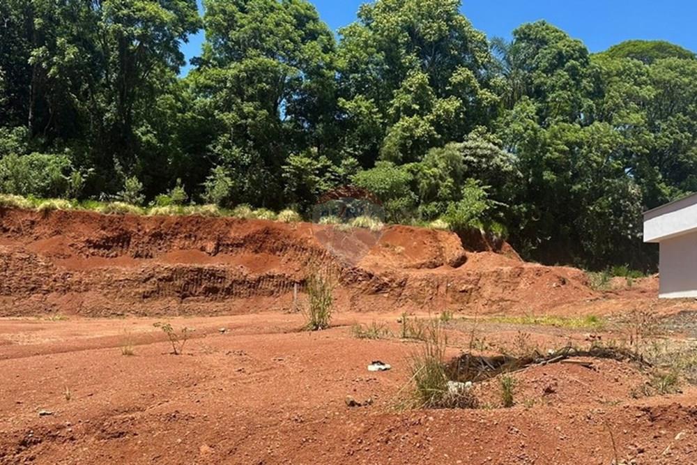 Terreno - Venda - Três Palmeiras , Rio Grande do Sul - WhatsApp Image 2025-11-24 at 14.30.15 (2).jpeg - 610231001-221