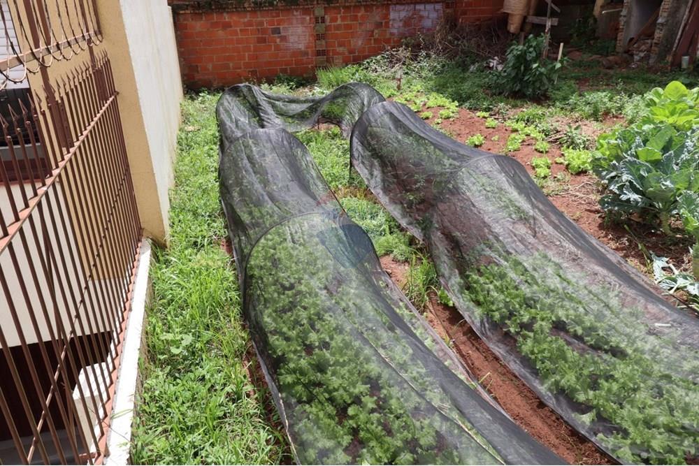 Terreno - Venda - Passo Fundo , Rio Grande do Sul - IMG-20241210-WA0005.jpg - 610271075-14