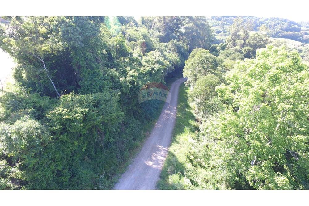 Terreno - Venda - Nova Pádua , Rio Grande do Sul - DJI_00711.jpg - 612551039-219