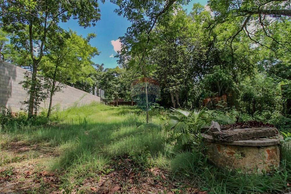 Terreno - Venda - Santa Maria , Rio Grande do Sul - IMG_9381.JPG - 610471004-13