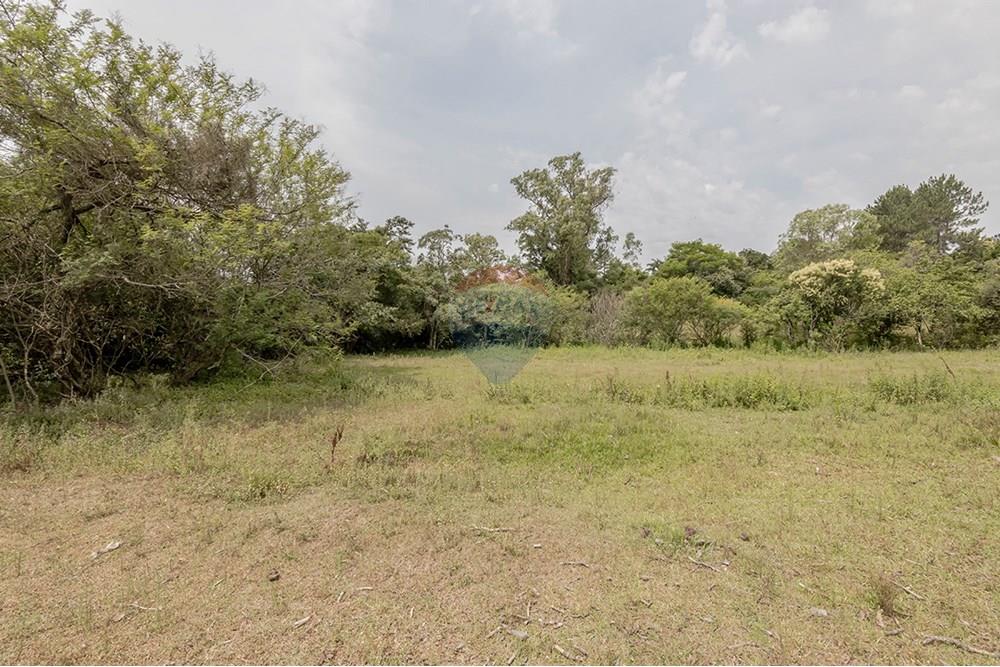 Terreno - Venda - Porto Alegre , Rio Grande do Sul - 0805-272 (27).jpg - 612521075-18