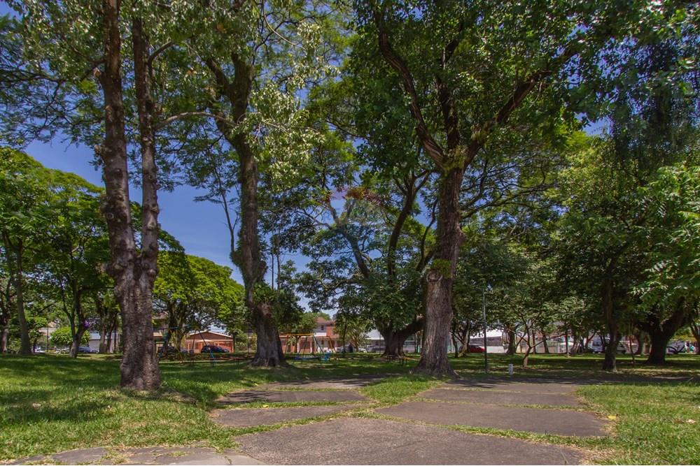 Casa - Venda - Porto Alegre , Rio Grande do Sul - 01casa035.jpg - 610101004-67