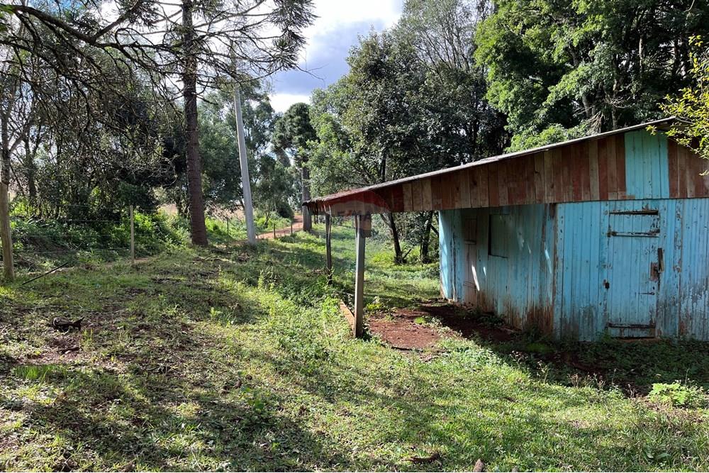 Fazenda - Venda - Lagoa Vermelha , Rio Grande do Sul - IMG_4238.jpg - 610111017-4