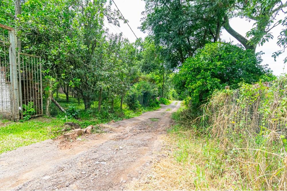Chácara / Sítio / Fazenda - Venda - Gravataí , Rio Grande do Sul - _DSC3246.jpg - 610051074-21