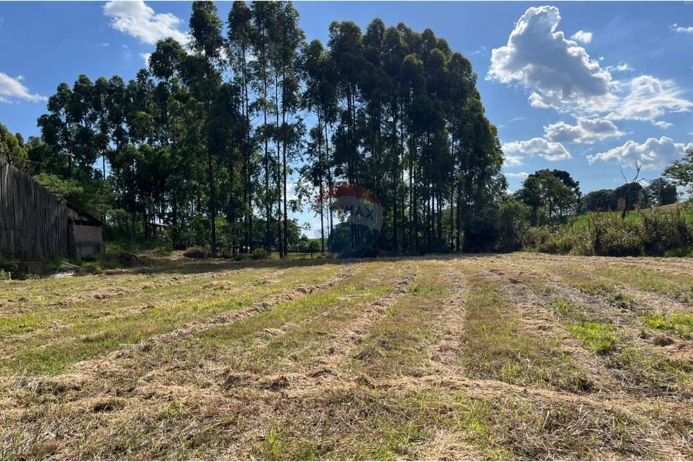 Chácara / Sítio / Fazenda - Venda - Trindade do Sul , Rio Grande do Sul - WhatsApp Image 2024-12-13 at 18.19.33 (1).jpeg - 610231026-29