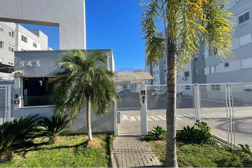 Apartamento - Venda - Gravataí , Rio Grande do Sul - IMG-20251015-WA0186.jpg - 610161100-47