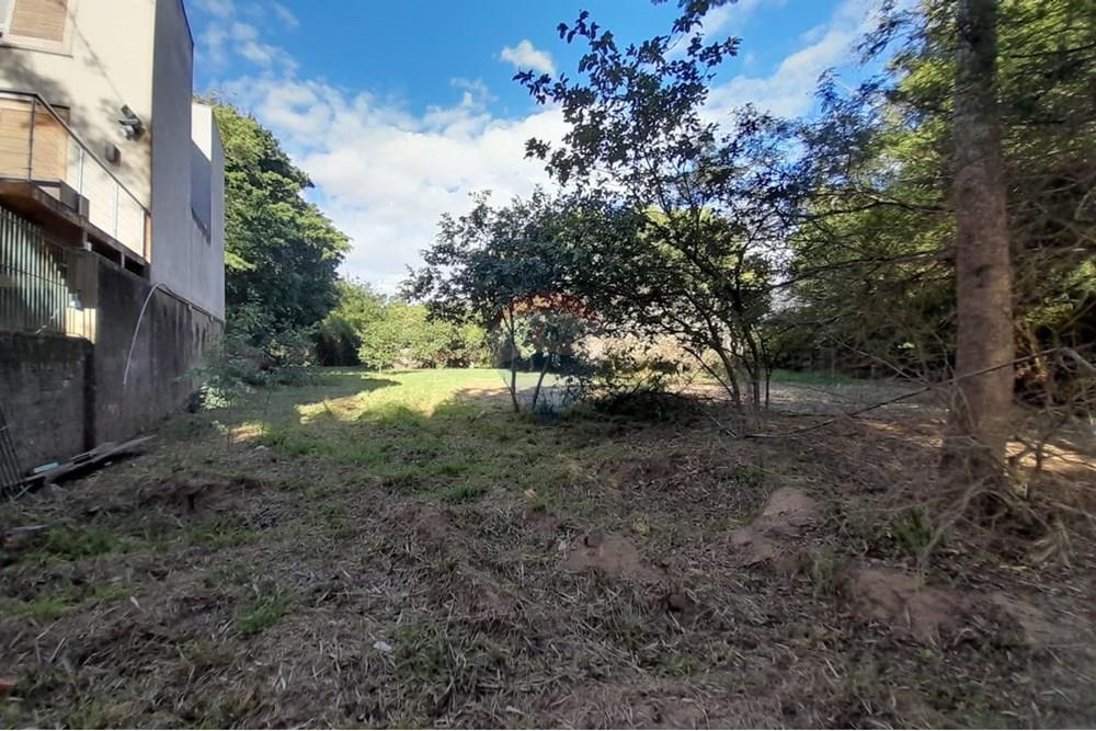 Terreno - Venda - Porto Alegre , Rio Grande do Sul - WhatsApp Image 2025-03-21 at 16.28.42 (1).jpeg - 612551008-93