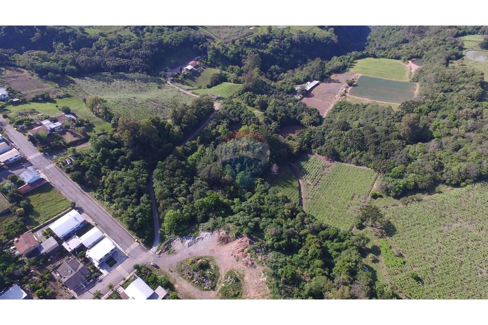 Terreno - Venda - Nova Pádua , Rio Grande do Sul - DJI_0045.jpg - 612551039-219