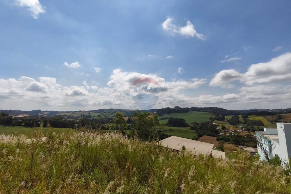 Terreno - Venda - Barão de Cotegipe , Rio Grande do Sul - f.6.jpeg - 612761047-18