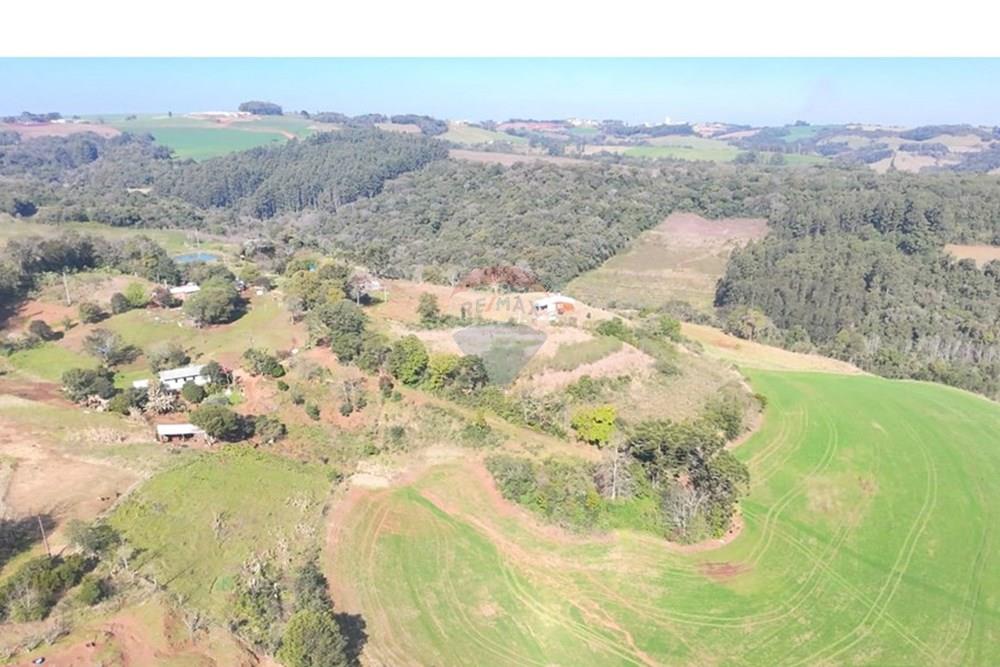 Chácara / Sítio / Fazenda - Venda - Trindade do Sul , Rio Grande do Sul - IMG-20250814-WA0078.jpg - 610231004-94