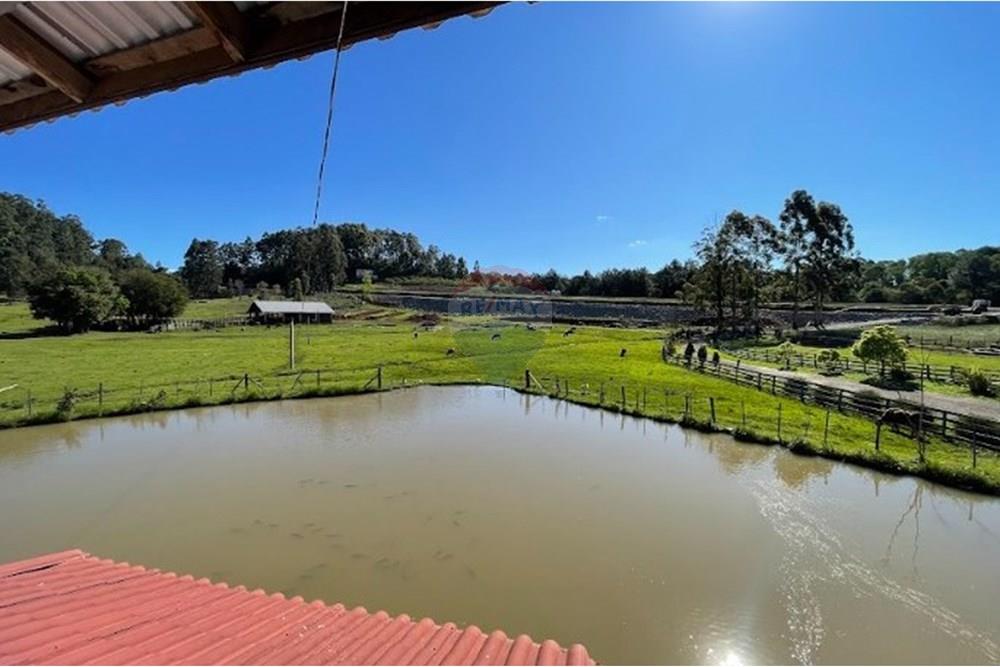 Chácara / Sítio / Fazenda - Venda - Tio Hugo , Rio Grande do Sul - VISAO SUPERIOR.jpg - 612621058-40