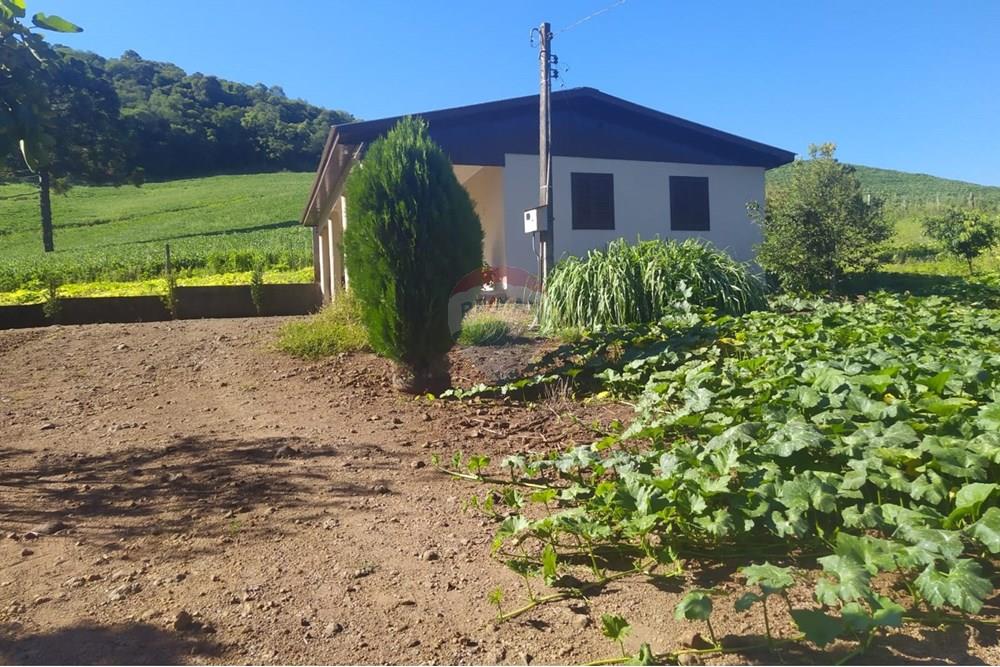 Chácara / Sítio / Fazenda - Venda - Coqueiros do Sul , Rio Grande do Sul - 429548dd-d25b-48e1-b5c5-bacd26f20174.jpg - 612701042-33