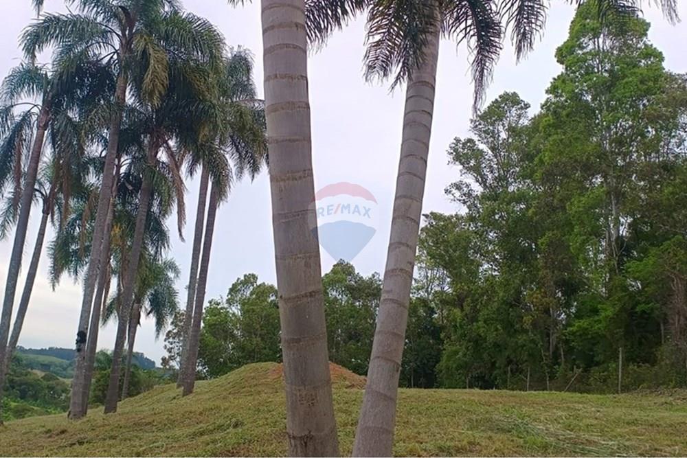 Terreno - Venda - Garibaldi , Rio Grande do Sul - WhatsApp Image 2025-10-31 at 15.00.08 (3).jpeg - 610331050-3