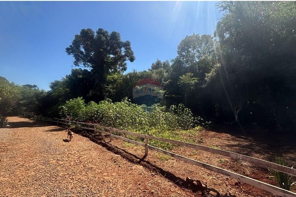 Chácara / Sítio / Fazenda - Venda - Lagoa dos Três Cantos , Rio Grande do Sul - f0f79bcf-eb45-4470-9906-b629bd6f4eb3.jpeg - 612701005-19