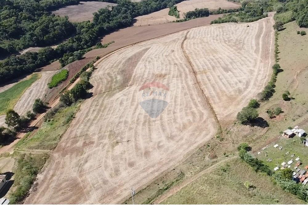 Chácara / Sítio / Fazenda - Venda - Trindade do Sul , Rio Grande do Sul - IMG-20250325-WA0069.jpg - 610231004-88