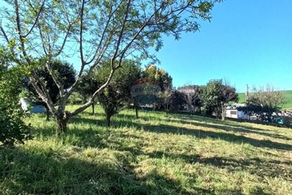 Terreno - Venda - Trindade do Sul , Rio Grande do Sul - WhatsApp Image 2025-09-10 at 00.59.26.jpeg - 610231035-3