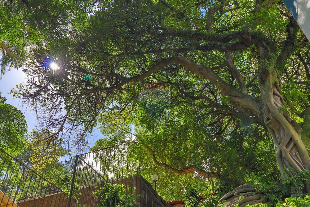 Apartamento - Venda - Porto Alegre , Rio Grande do Sul - IMG_0151.jpg - 610191022-164