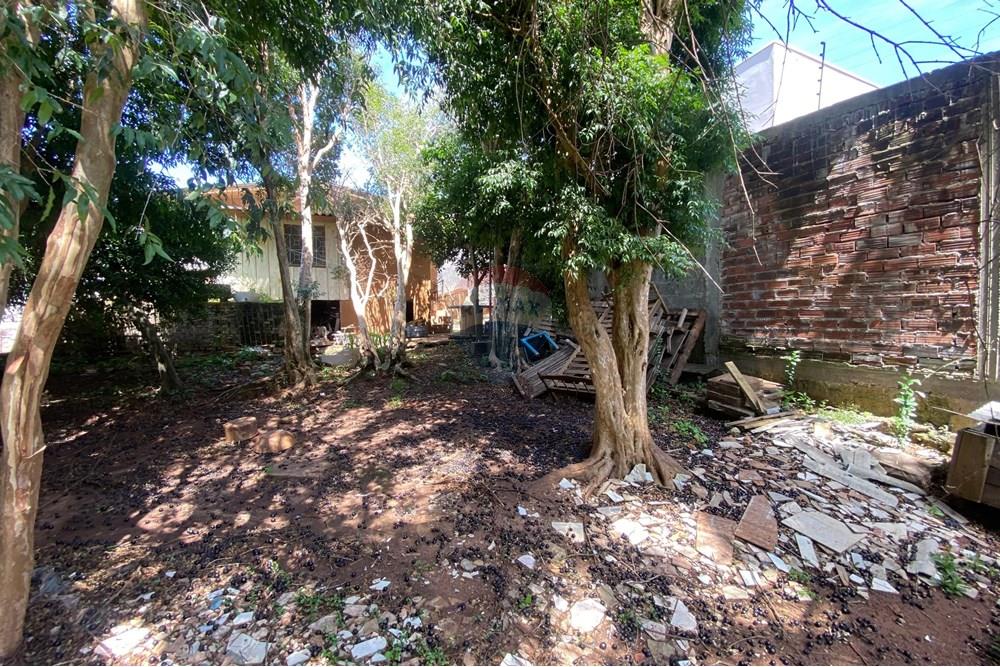 Terreno - Venda - Passo Fundo , Rio Grande do Sul - IMG-20251113-WA0114.jpg - 610271093-30