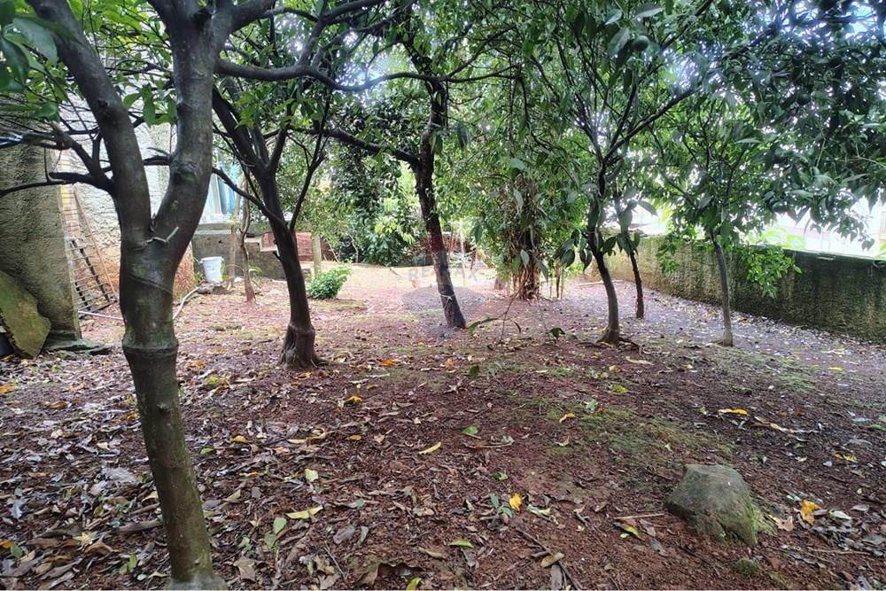 Terreno - Venda - Ronda Alta , Rio Grande do Sul - WhatsApp Image 2026-03-09 at 15.14.35 (4).jpeg - 610231034-33