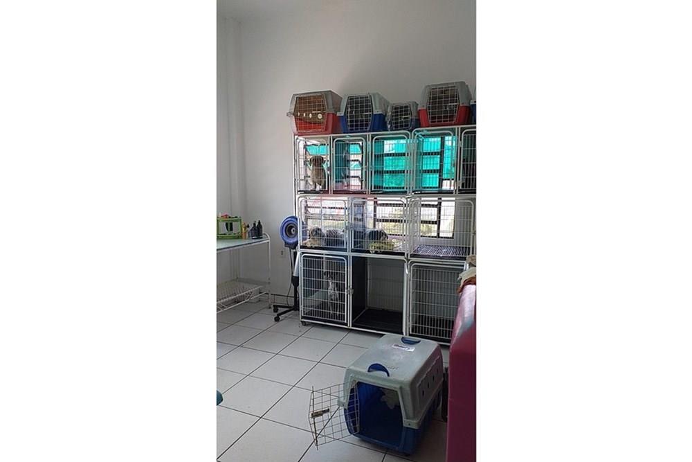 Cj. Comercial/ Sala - Venda - Erechim , Rio Grande do Sul - WhatsApp Image 2025-10-23 at 10.17.11 (2).jpeg - 612761037-36