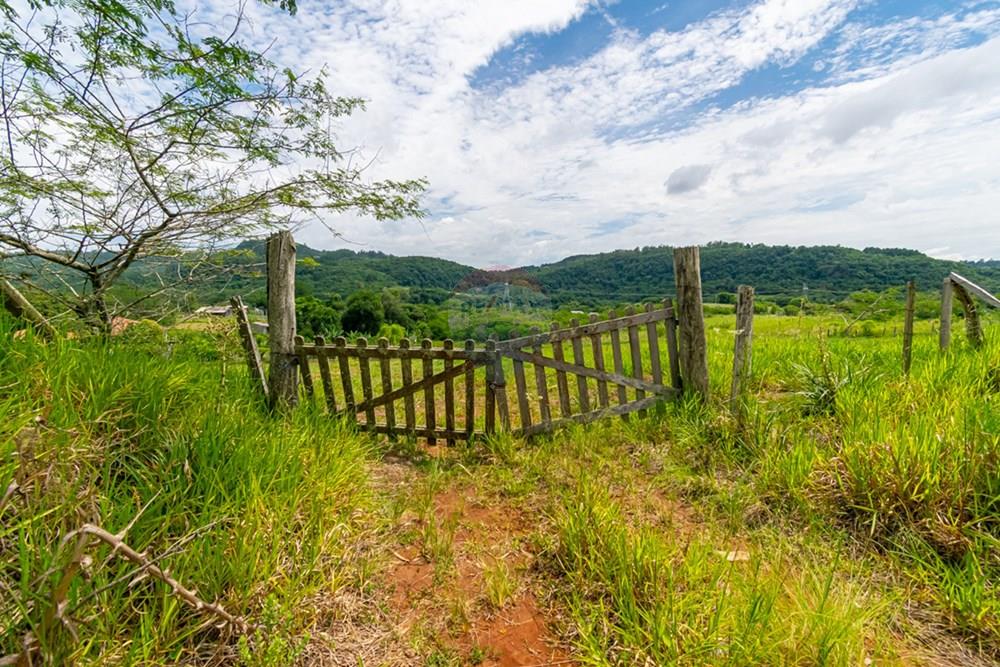 Terreno - Venda - Gravataí , Rio Grande do Sul - _DSC3258.jpg - 610051074-25
