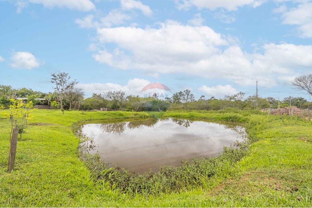 Chácara / Sítio / Fazenda - Venda - Gravataí , Rio Grande do Sul - WhatsApp Image 2025-05-26 at 18.45.24.jpeg - 610381018-3