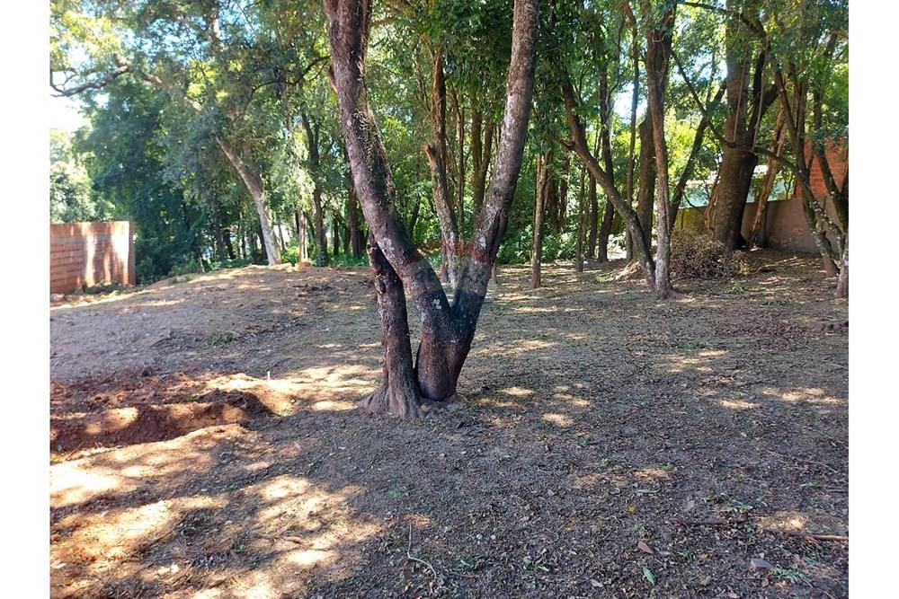 Terreno - Venda - Passo Fundo , Rio Grande do Sul - WhatsApp Image 2026-01-06 at 10.23.50.jpeg - 612721043-11