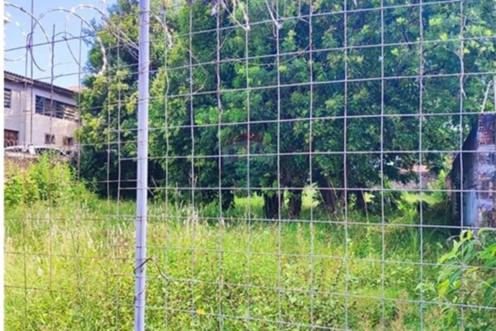 Terreno - Venda - Passo Fundo , Rio Grande do Sul - WhatsApp Image 2026-03-27 at 14.14.21.jpeg - 612721013-68