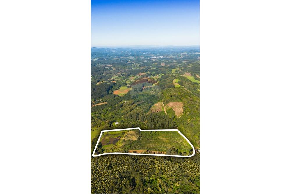 Chácara / Sítio / Fazenda - Venda - Brochier , Rio Grande do Sul - Foto-9i.jpg - 610091003-74