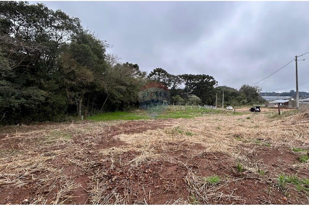 Terreno - Venda - Barão de Cotegipe , Rio Grande do Sul - WhatsApp Image 2025-08-09 at 14.36.35.jpeg - Fachada - 612761035-7