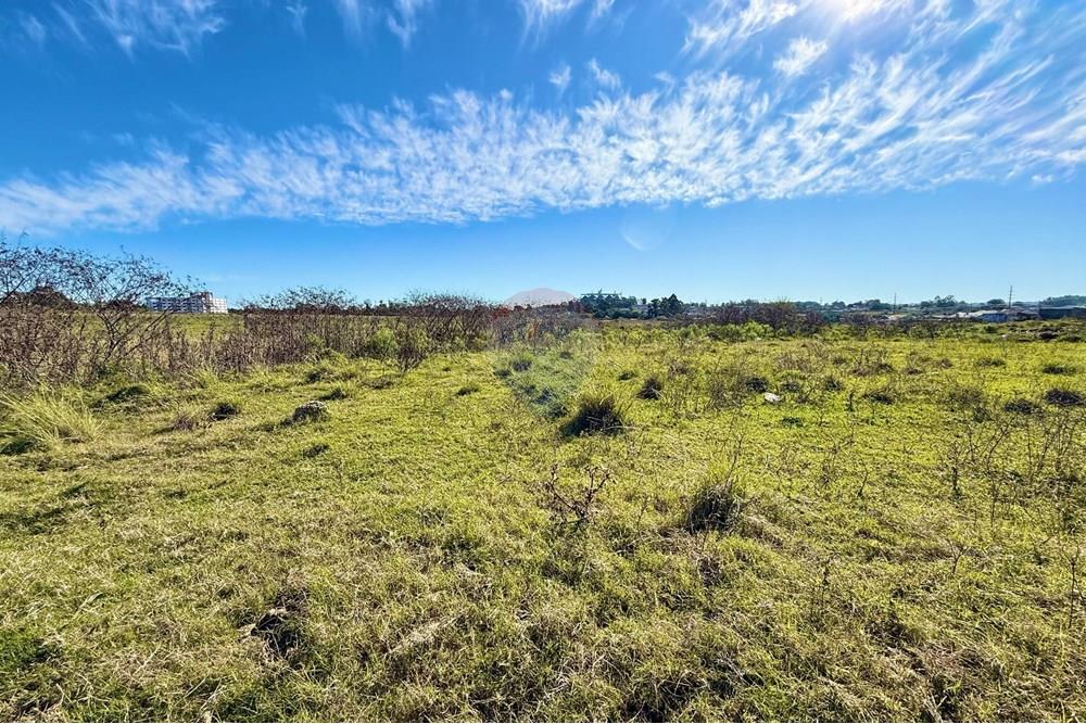 Terreno - Venda - São Gabriel , Rio Grande do Sul - a7894c1c-acba-4e2c-8a1d-d0a64e3e2255.jpeg - 612631037-8