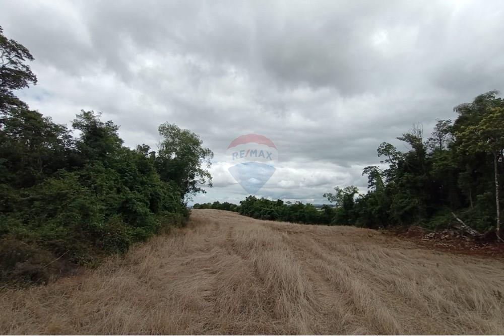 Chácara / Sítio / Fazenda - Venda - Sarandi , Rio Grande do Sul - WhatsApp Image 2025-11-26 at 16.01.42.jpeg - 610341020-16