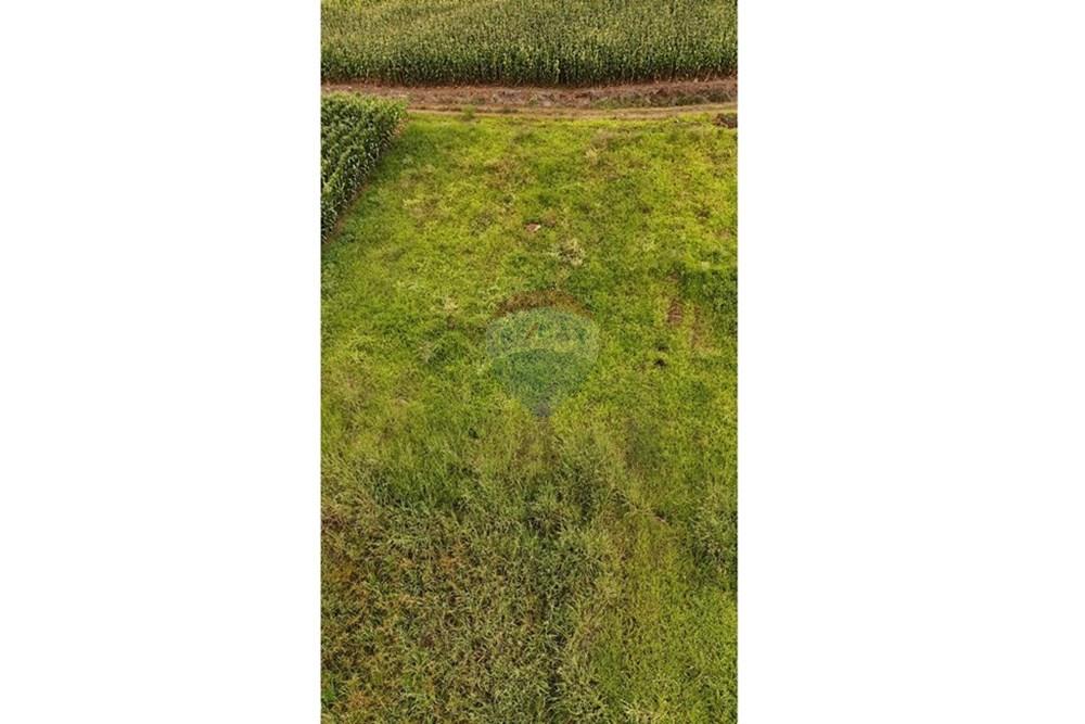 Chácara / Sítio / Fazenda - Venda - Gramado , Rio Grande do Sul - WhatsApp Image 2026-02-24 at 18.00.11 (4).jpeg - 610131034-44