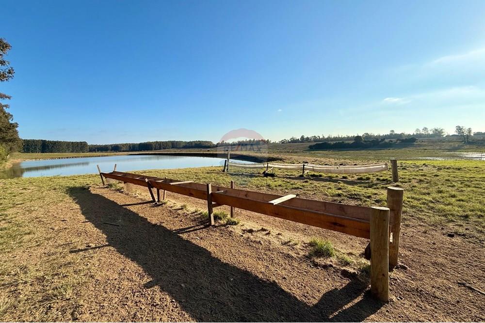 Chácara / Sítio / Fazenda - Venda - São Gabriel , Rio Grande do Sul - 53b5b6ab-9ae1-43fc-96a5-77924265388a.jpeg - 612631037-9