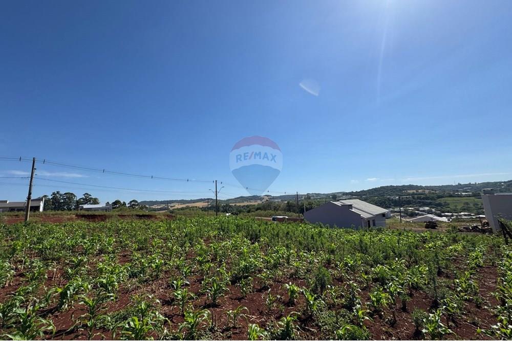 Terreno - Venda - Sarandi , Rio Grande do Sul - WhatsApp Image 2025-11-27 at 10.48.23.jpeg - 610341006-417