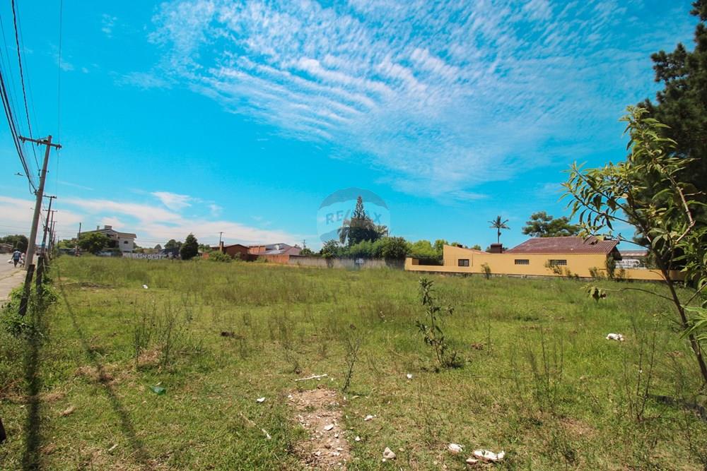 Terreno - Venda - Santa Maria , Rio Grande do Sul - IMG_4979.jpg - 610471031-19