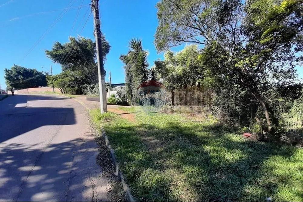 Chácara / Sítio / Fazenda - Venda - Alvorada , Rio Grande do Sul - WhatsApp Image 2025-07-31 at 16.29.27.jpeg - 612531061-12