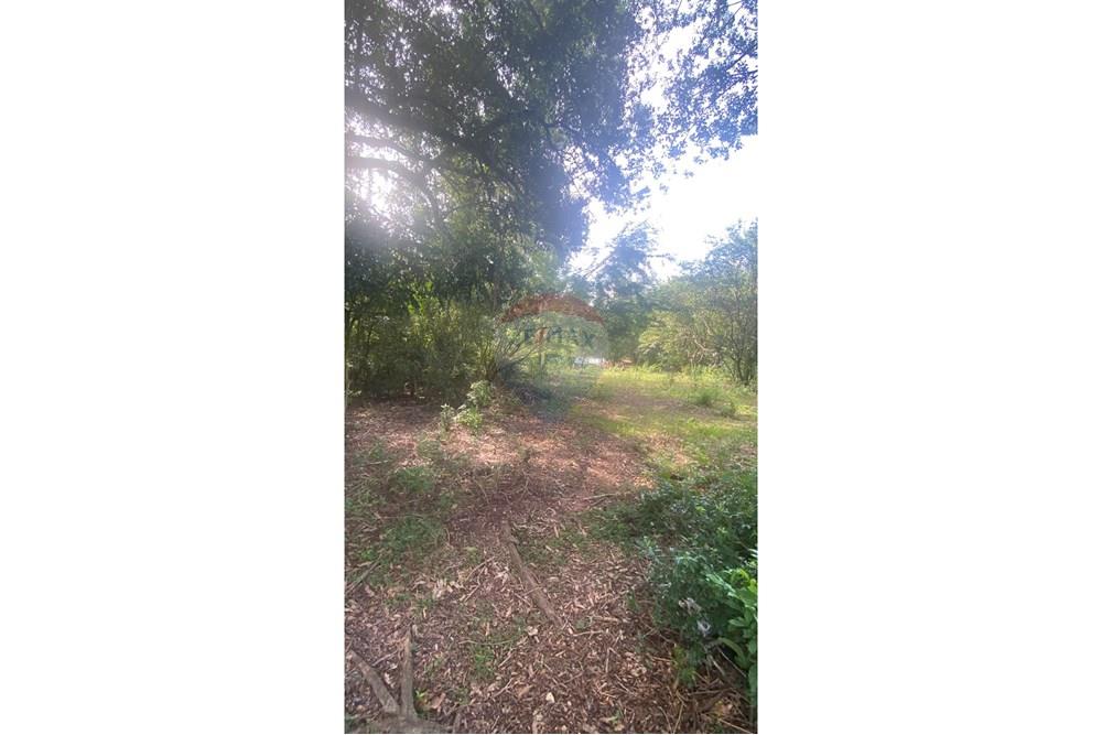 Chácara / Sítio / Fazenda - Venda - Rio Pardo , Rio Grande do Sul - IMG_5704.jpeg - 612741002-49