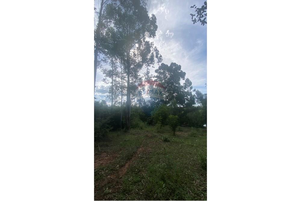 Chácara / Sítio / Fazenda - Venda - Rio Pardo , Rio Grande do Sul - IMG_5711.jpeg - 612741002-49