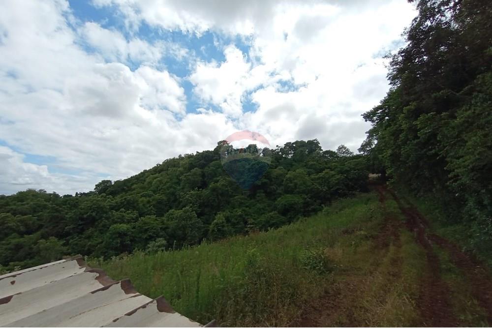 Chácara / Sítio / Fazenda - Venda - Sarandi , Rio Grande do Sul - WhatsApp Image 2025-11-26 at 16.01.42 (3).jpeg - 610341020-16